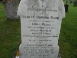 image of grave number 222217